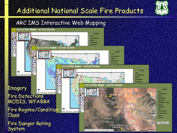 Additional National Scale Fire Products ARC IMS Interactive Web Mapping Imagery Fire Detections MODIS,