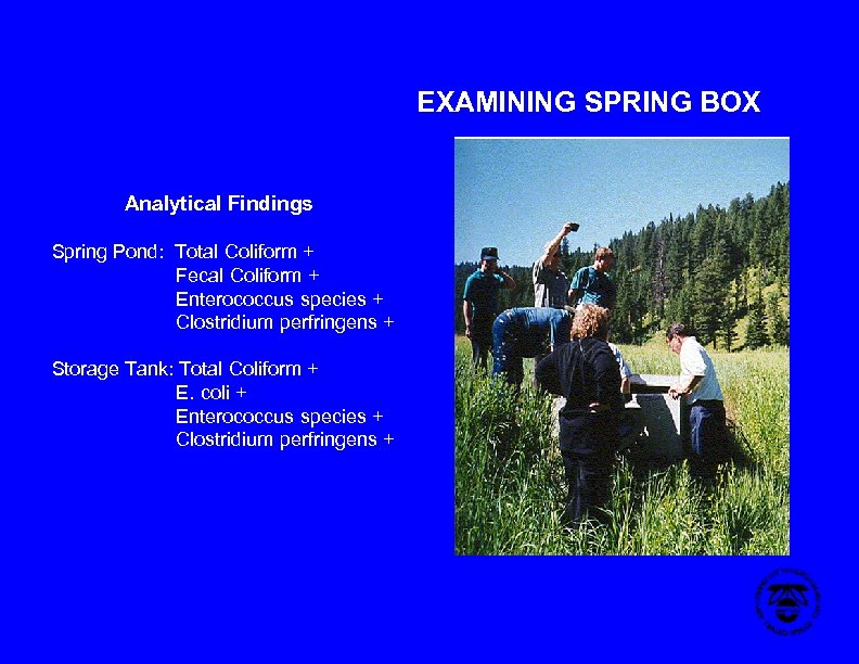 EXAMINING SPRING BOX Analytical Findings Spring Pond: Total Coliform + Fecal Coliform + Enterococcus
