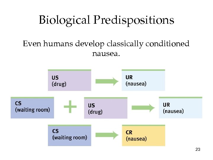 Biological Predispositions Even humans develop classically conditioned nausea. 23 