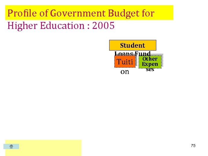 Profile of Government Budget for Higher Education : 2005 Student Loans Fund Tuiti on