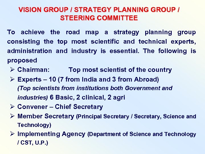 VISION GROUP / STRATEGY PLANNING GROUP / STEERING COMMITTEE To achieve the road map