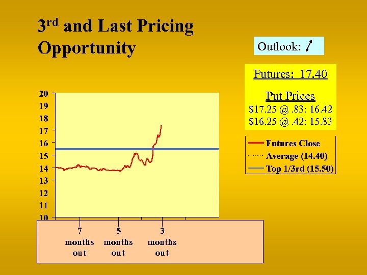 3 rd and Last Pricing Opportunity Outlook: Futures: 17. 40 Put Prices $17. 25