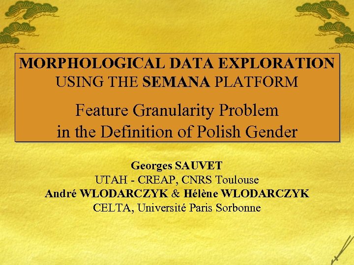 MORPHOLOGICAL DATA EXPLORATION USING THE SEMANA PLATFORM Feature Granularity Problem in the Definition of