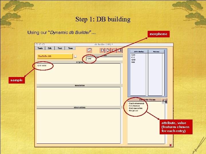 Step 1: DB building Using our “Dynamic db Builder”… morpheme sample attribute, value (features