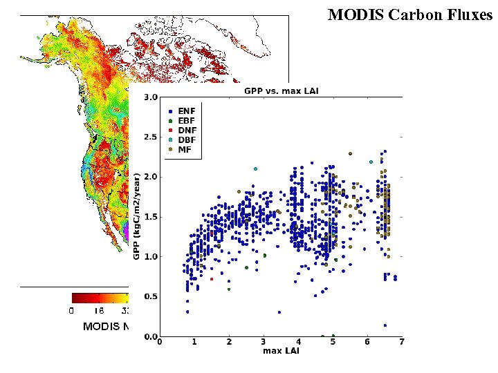 MODIS Carbon Fluxes 