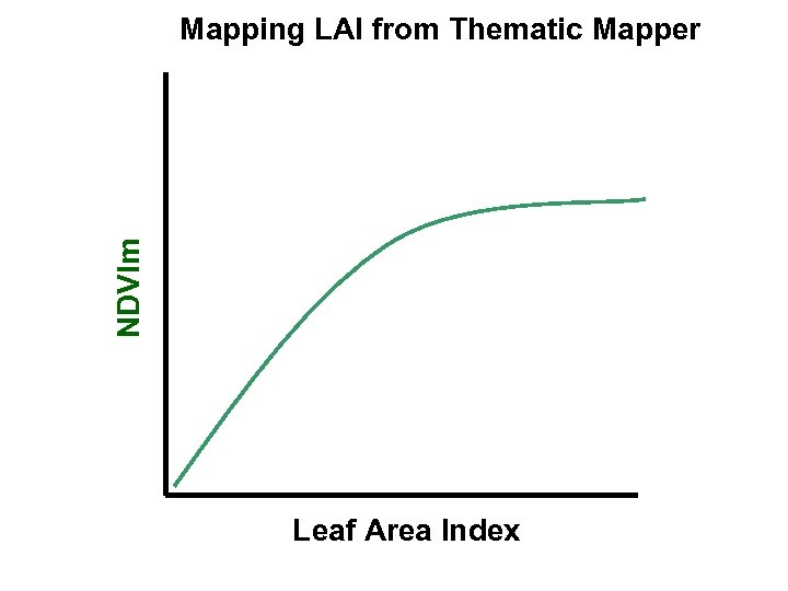 NDVIm Mapping LAI from Thematic Mapper Leaf Area Index 