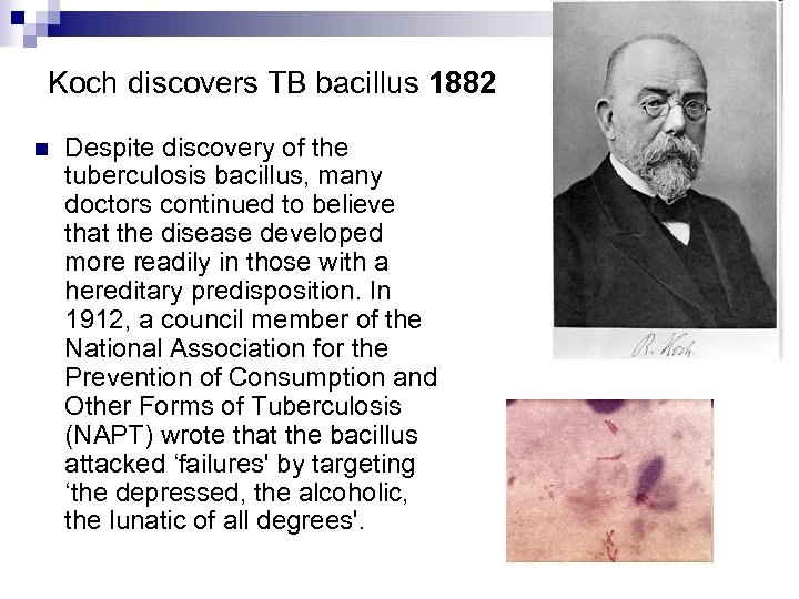 Koch discovers TB bacillus 1882 n Despite discovery of the tuberculosis bacillus, many doctors