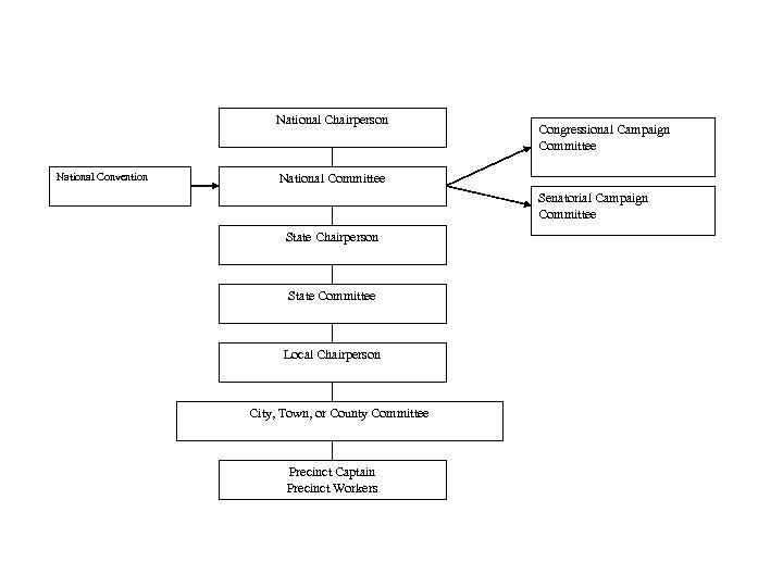 National Chairperson National Convention Congressional Campaign Committee National Committee Senatorial Campaign Committee State Chairperson