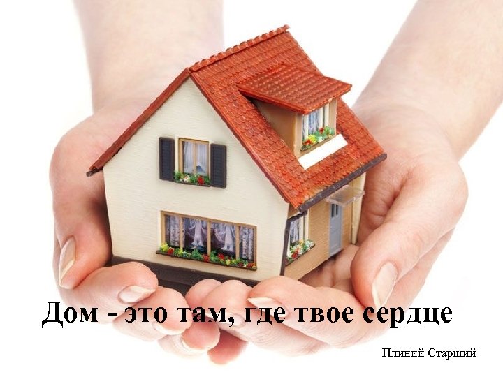 Дом - это там, где твое сердце Плиний Старший 