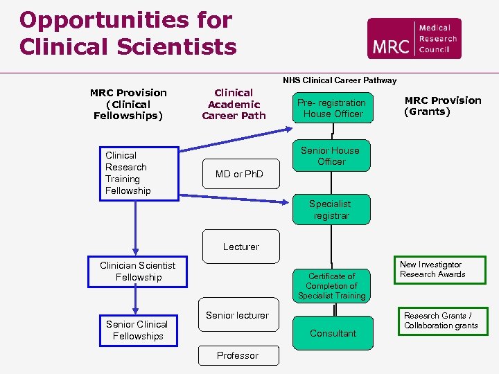 Opportunities for Clinical Scientists NHS Clinical Career Pathway MRC Provision (Clinical Fellowships) Clinical Research