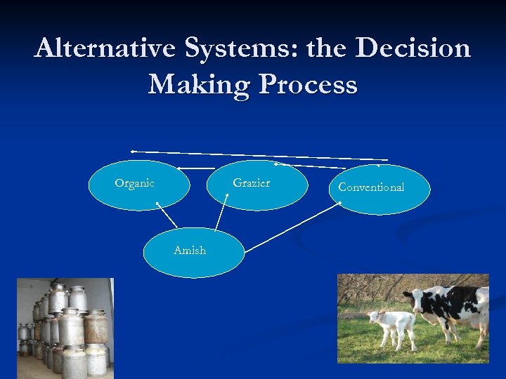 Alternative Systems: the Decision Making Process Organic Grazier Amish Conventional 