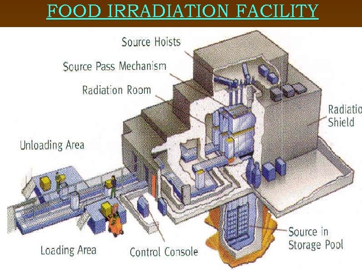 FOOD IRRADIATION FACILITY 19 March 2018 14 