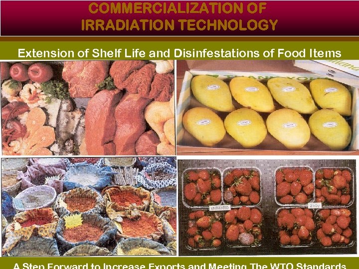 COMMERCIALIZATION OF IRRADIATION TECHNOLOGY Extension of Shelf Life and Disinfestations of Food Items 19