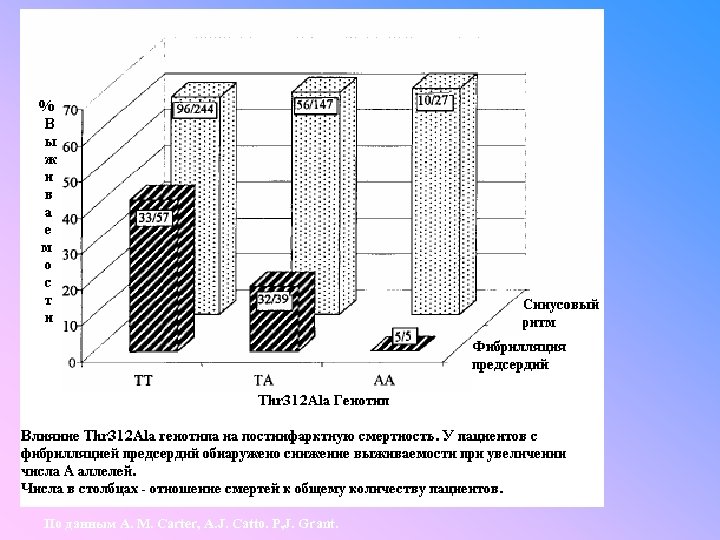 По данным A. M. Carter, A. J. Catto. P, J. Grant. 