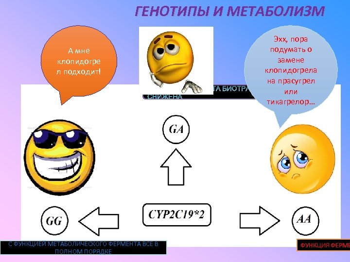 ГЕНОТИПЫ И МЕТАБОЛИЗМ А мне клопидогре л подходит! С ФУНКЦИЕЙ МЕТАБОЛИЧЕСКОГО ФЕРМЕНТА ВСЕ В