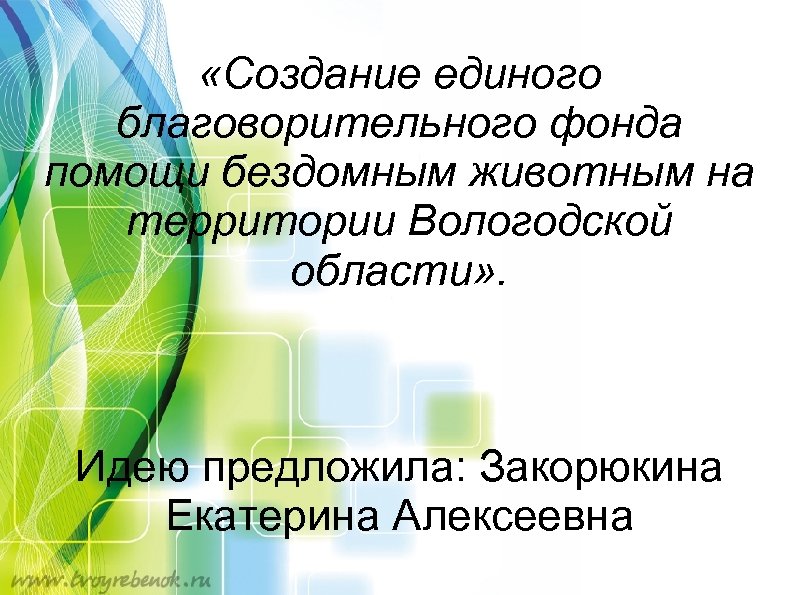  «Создание единого благоворительного фонда помощи бездомным животным на территории Вологодской области» . Идею