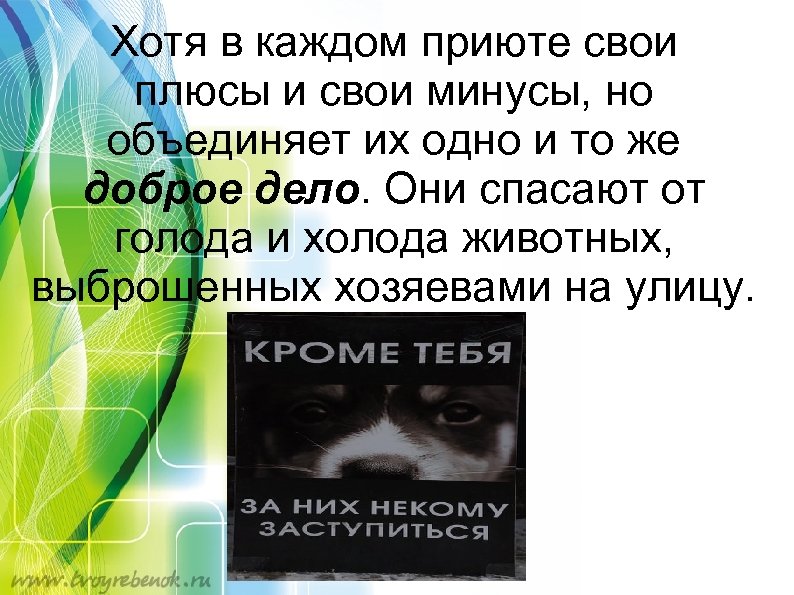 Хотя в каждом приюте свои плюсы и свои минусы, но объединяет их одно и