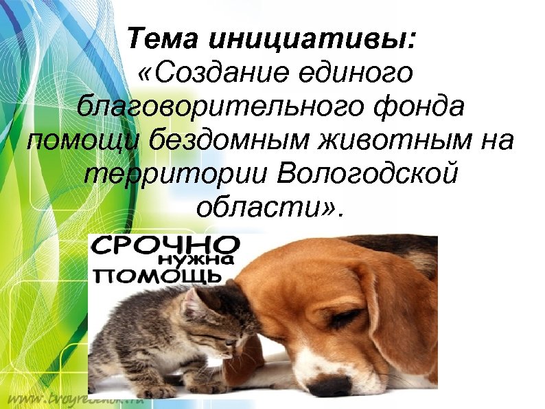 Тема инициативы: «Создание единого благоворительного фонда помощи бездомным животным на территории Вологодской области» .