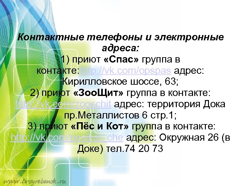 Контактные телефоны и электронные адреса: 1) приют «Спас» группа в контакте: http: //vk. com/opspas