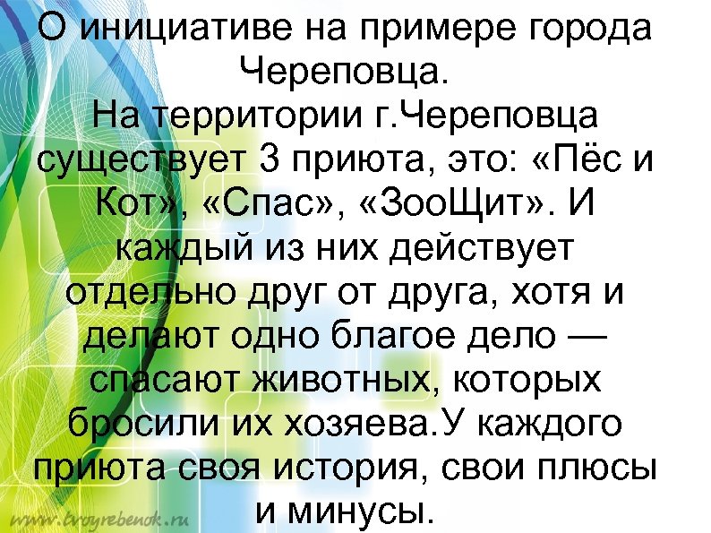 О инициативе на примере города Череповца. На территории г. Череповца существует 3 приюта, это: