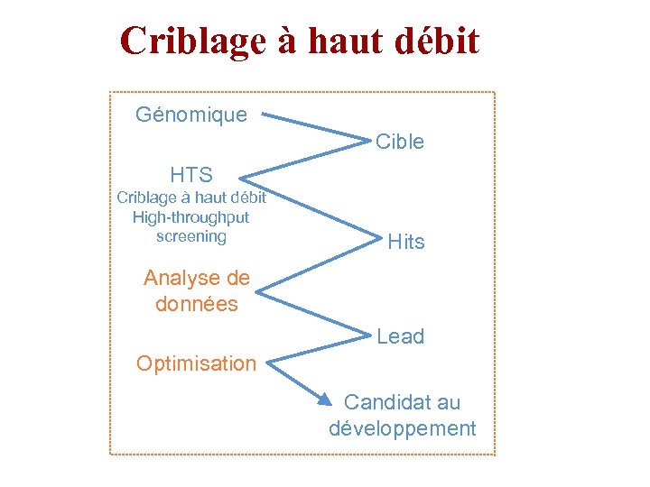 Criblage à haut débit Génomique Cible HTS Criblage à haut débit High-throughput screening Hits