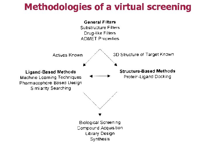 Methodologies of a virtual screening 