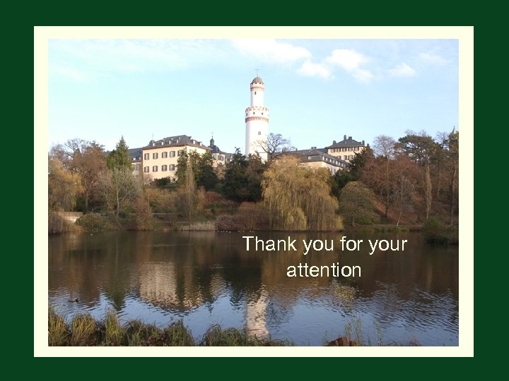 Thank you for your attention 