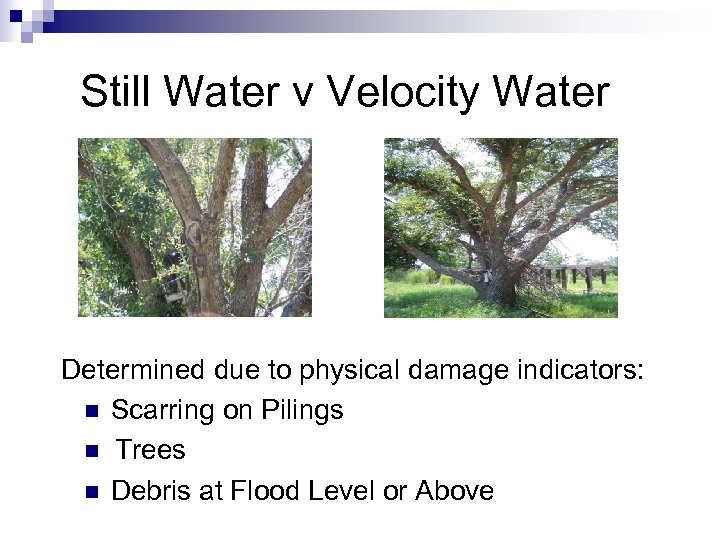  Still Water v Velocity Water Determined due to physical damage indicators: n Scarring