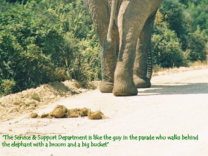 “The Service & Support Department is like the guy in the parade who walks