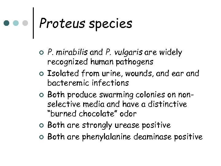 Proteus species ¢ ¢ ¢ P. mirabilis and P. vulgaris are widely recognized human