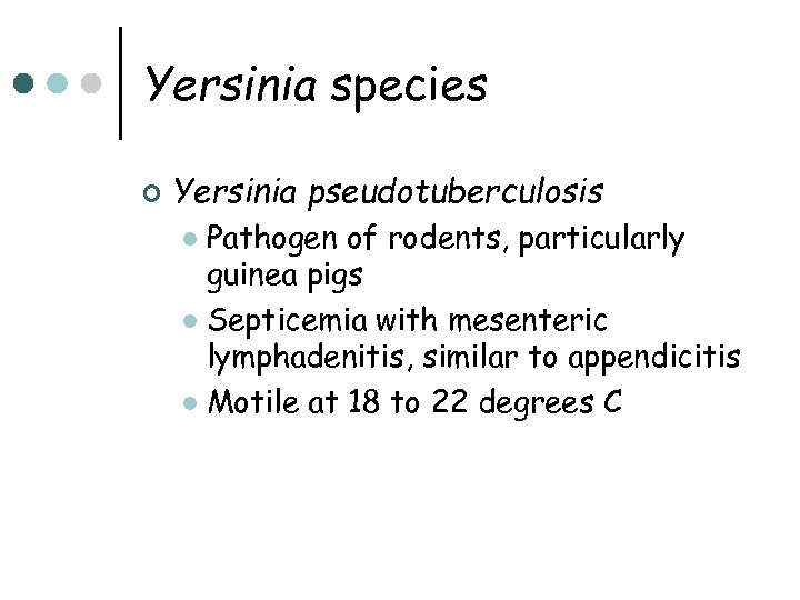 Yersinia species ¢ Yersinia pseudotuberculosis Pathogen of rodents, particularly guinea pigs l Septicemia with