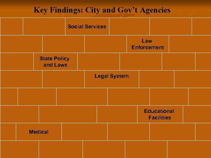 Key Findings: City and Gov’t Agencies Social Services Law Enforcement State Policy and Laws