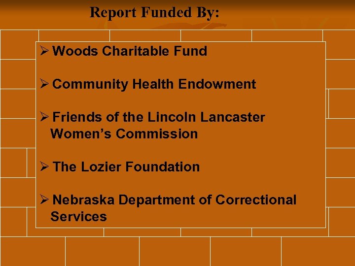Report Funded By: Ø Woods Charitable Fund Ø Community Health Endowment Ø Friends of