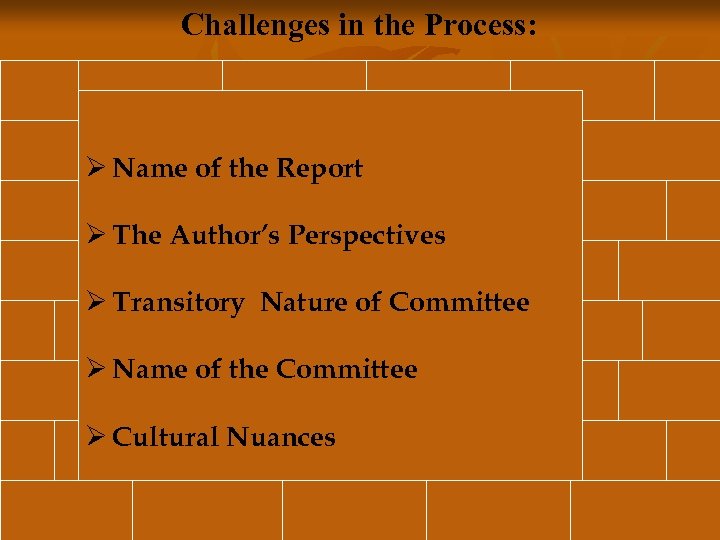 Challenges in the Process: Ø Name of the Report Ø The Author’s Perspectives Ø