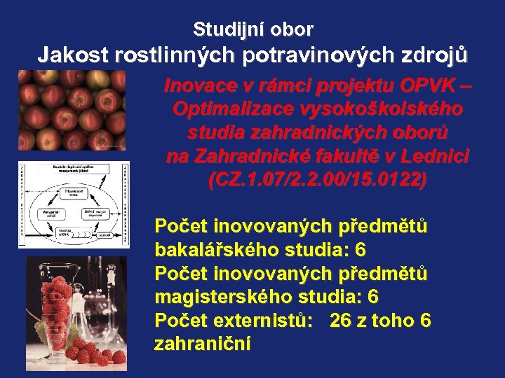 Studijní obor Jakost rostlinných potravinových zdrojů Inovace v rámci projektu OPVK – Optimalizace vysokoškolského