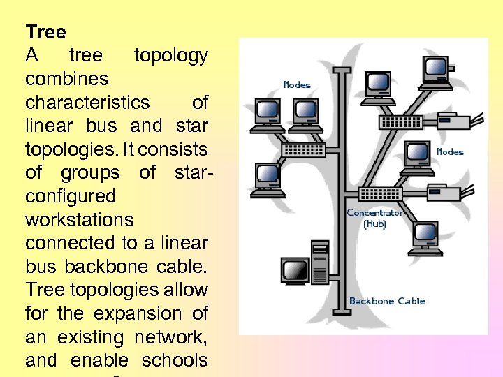Tree A tree topology combines characteristics of linear bus and star topologies. It consists