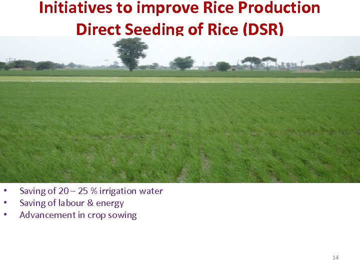 Initiatives to improve Rice Production Direct Seeding of Rice (DSR) • • • Saving