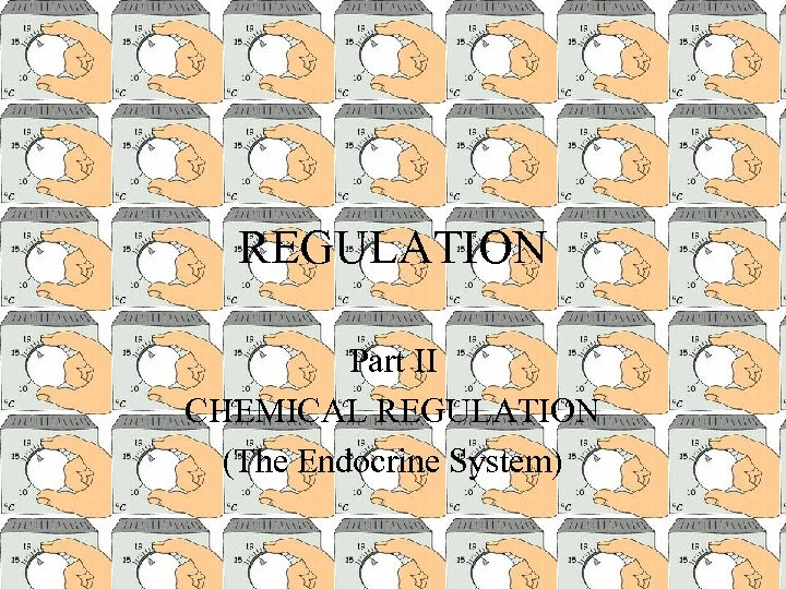 REGULATION Part II CHEMICAL REGULATION (The Endocrine System) 