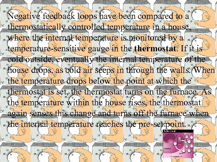 Negative feedback loops have been compared to a thermostatically controlled temperature in a house,
