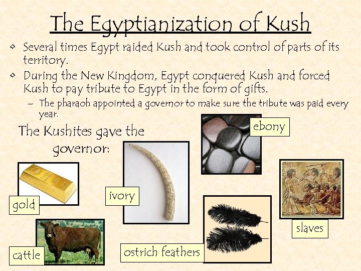 The Egyptianization of Kush • Several times Egypt raided Kush and took control of