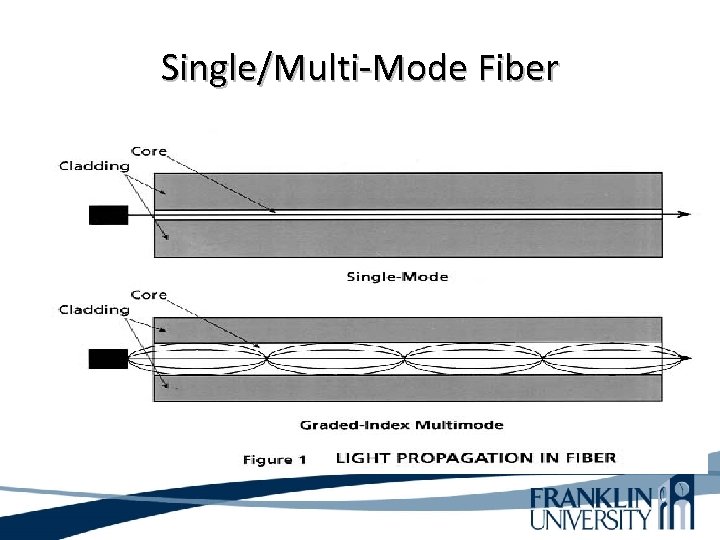 Single/Multi-Mode Fiber 