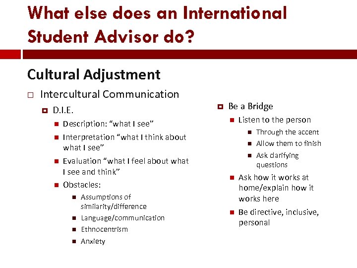 What else does an International Student Advisor do? Cultural Adjustment Intercultural Communication D. I.