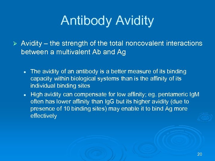 Antibody Avidity Ø Avidity – the strength of the total noncovalent interactions between a