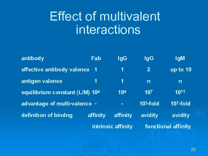 Effect of multivalent interactions antibody Ig. G Ig. M effective antibody valence 1 1