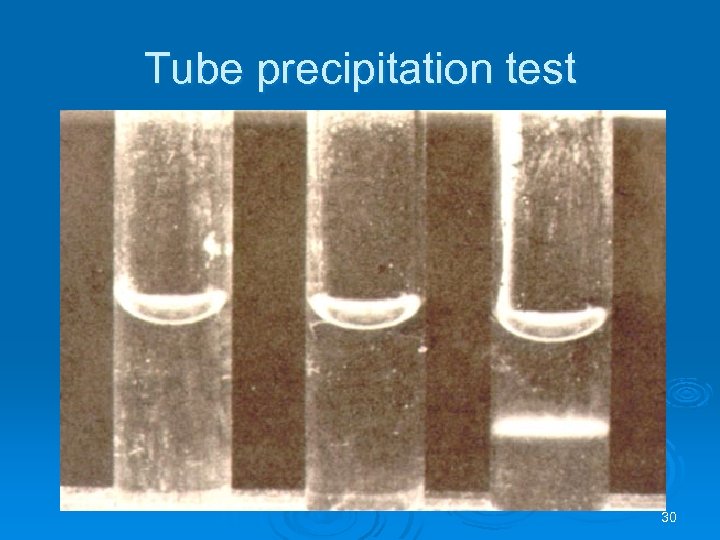 Tube precipitation test 30 
