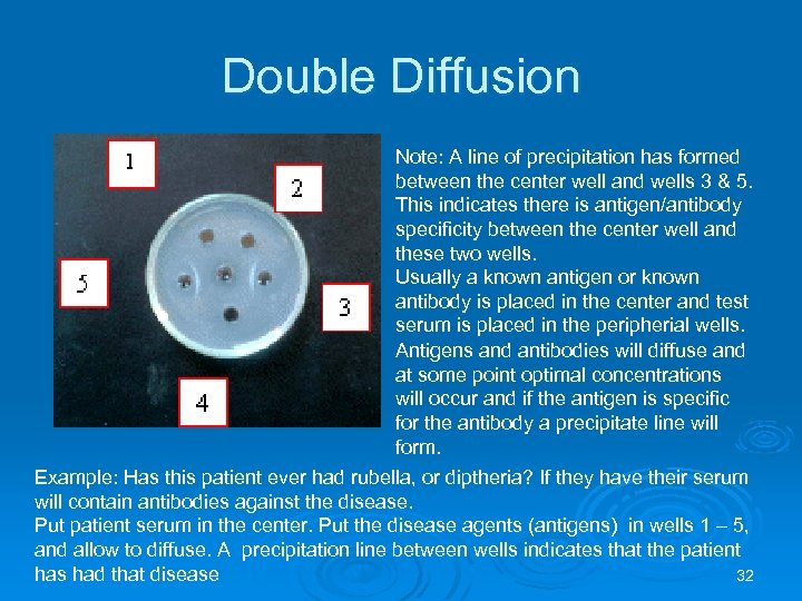 Double Diffusion Note: A line of precipitation has formed between the center well and