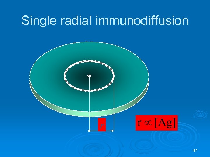 Single radial immunodiffusion r 47 
