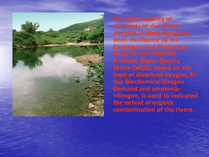 The water quality of hundreds of rivers and streams in Hong Kong has been