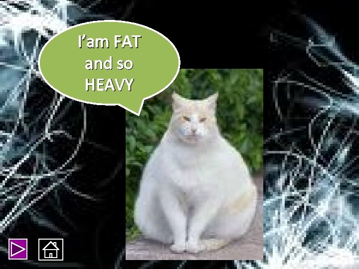 I’am FAT and so HEAVY 