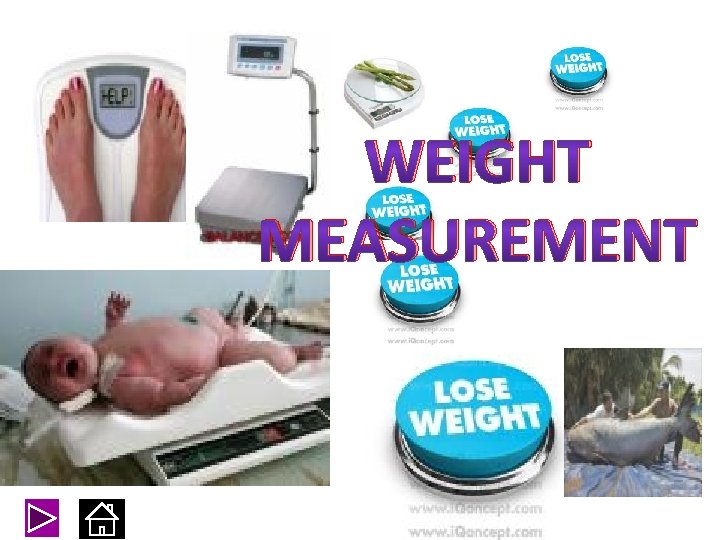 WEIGHT MEASUREMENT 